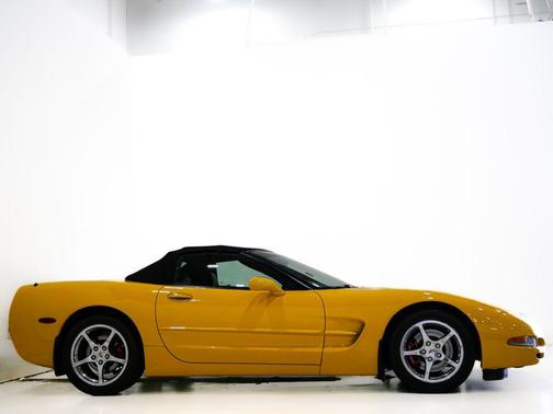 Millennium Yellow 2004 Chevrolet Corvette Base