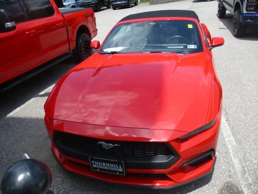 RACE RED 2025 Ford Mustang ECOBOOST PREMIUM
