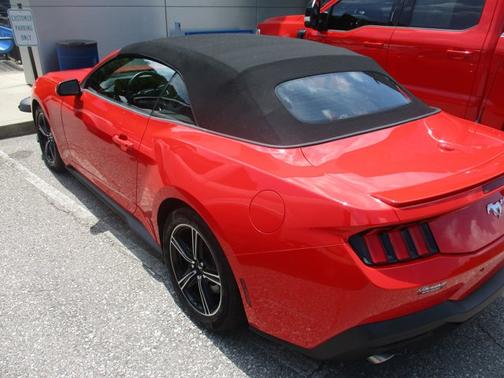 RACE RED 2025 Ford Mustang ECOBOOST PREMIUM