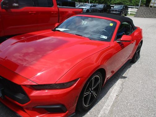 RACE RED 2025 Ford Mustang ECOBOOST PREMIUM