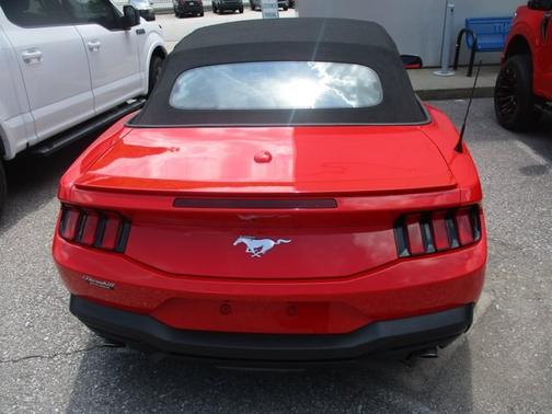 RACE RED 2025 Ford Mustang ECOBOOST PREMIUM