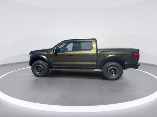 SHELTER GREEN 2024 Ford F-150 RAPTOR