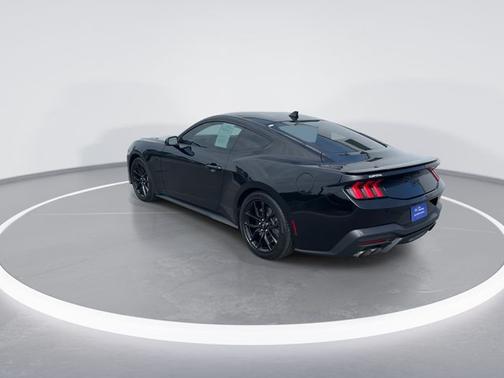 SHADOW BLACK 2025 Ford Mustang GT