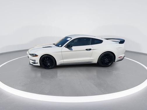 SHADOW BLACK 2019 Ford Mustang GT