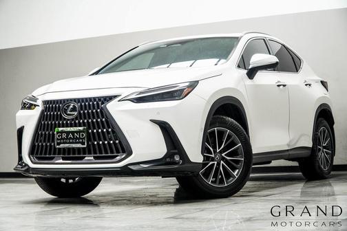 2024 Lexus NX 350h Luxury