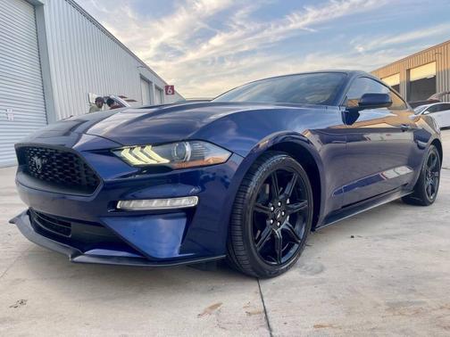 Blue 2019 Ford Mustang EcoBoost