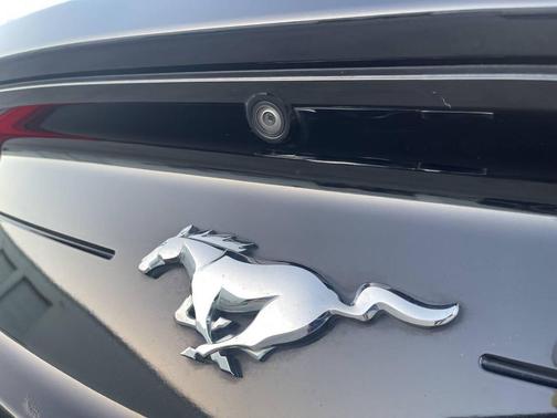 Black 2020 Ford Mustang EcoBoost