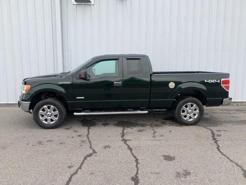 Green Gem Metallic 2014 Ford F-150 XLT
