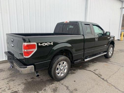 Green Gem Metallic 2014 Ford F-150 XLT