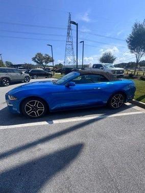 Blue Metallic 2019 Ford Mustang EcoBoost Premium