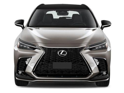 2023 Lexus NX 350 Premium
