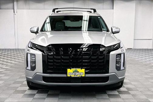 Typhoon Silver 2025 Hyundai PALISADE SEL