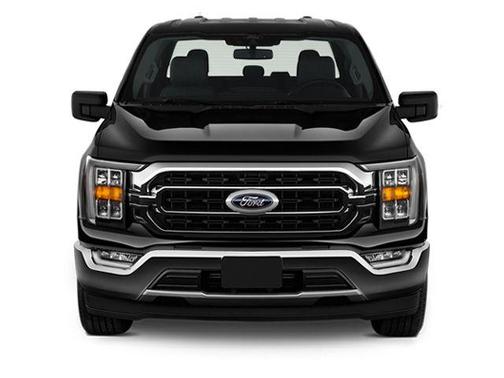 Agate Black Metallic 2025 Ford F-150 XLT