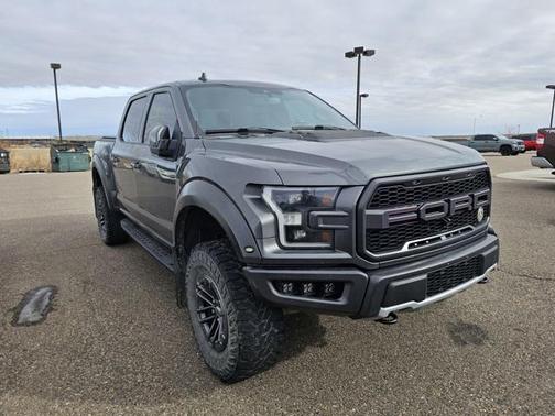 2019 Ford F-150 Raptor