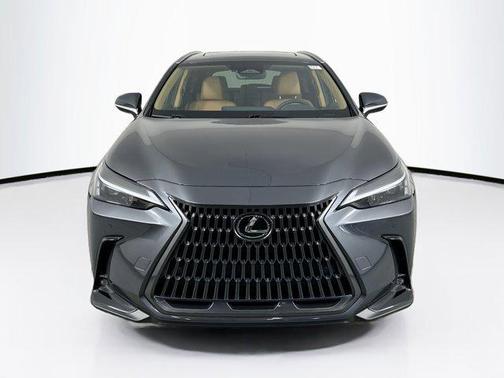 2024 Lexus NX 250 Premium