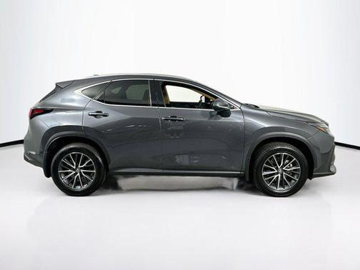 2024 Lexus NX 250 Premium