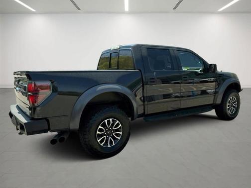 Tuxedo Black Metallic 2014 Ford F-150 SVT Raptor
