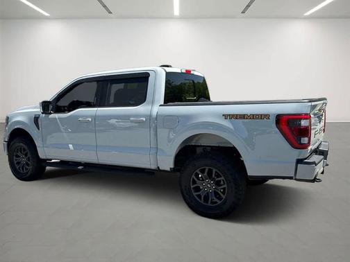 Avalanche 2023 Ford F-150 Tremor
