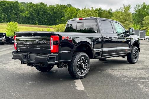 2025 Ford F-350 Platinum