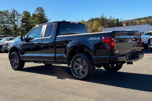 Black 2025 Ford F-150 STX