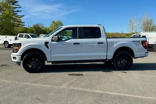 White 2025 Ford F-150 STX