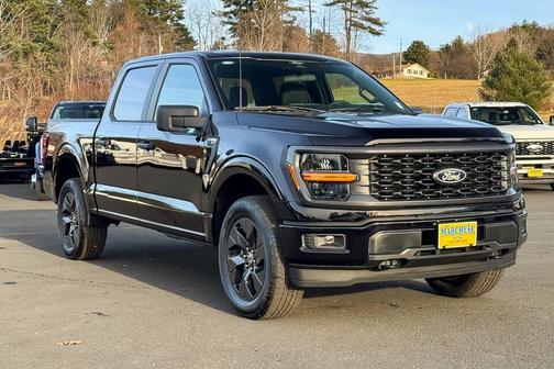 Black 2025 Ford F-150 STX