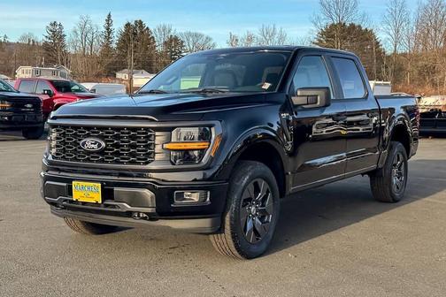 Black 2025 Ford F-150 STX