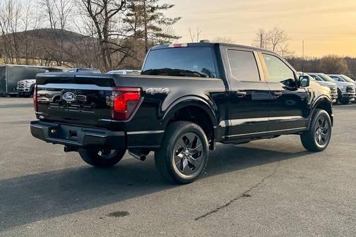 Black 2025 Ford F-150 STX