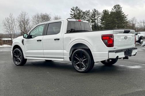 White 2025 Ford F-150 STX