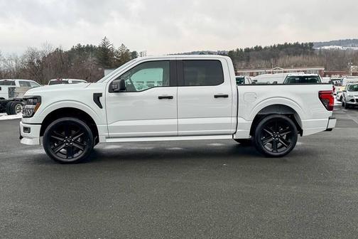 White 2025 Ford F-150 STX