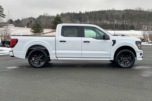 White 2025 Ford F-150 STX