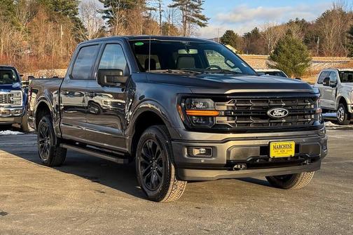 Gray 2025 Ford F-150 XLT