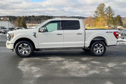 2022 Ford F-150 Platinum