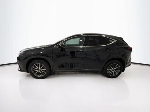 2023 Lexus NX 350h AWD