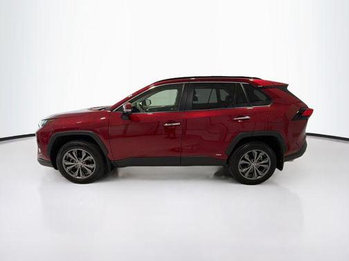 Pearl 2025 Toyota RAV4 Hybrid Limited