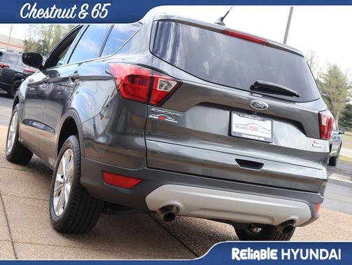 Magnetic 2019 Ford Escape SE