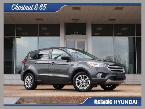 Magnetic 2019 Ford Escape SE