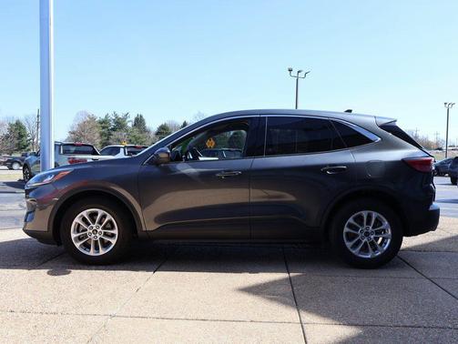 Magnetic 2020 Ford Escape SE