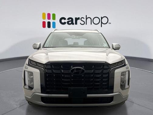 Typhoon Silver 2025 Hyundai PALISADE SEL Premium 8P