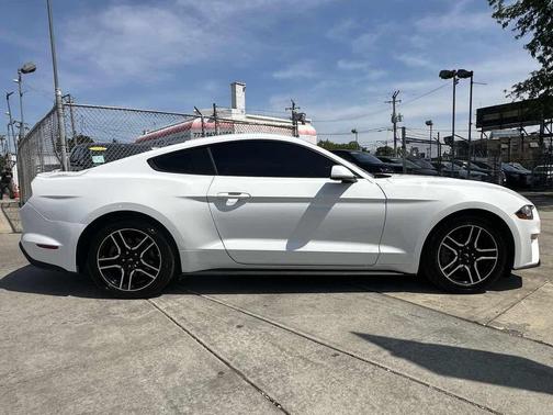 Oxford White 2020 Ford Mustang EcoBoost