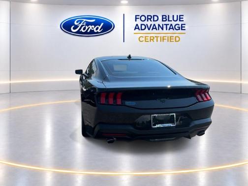 Shadow Black 2024 Ford Mustang EcoBoost Premium