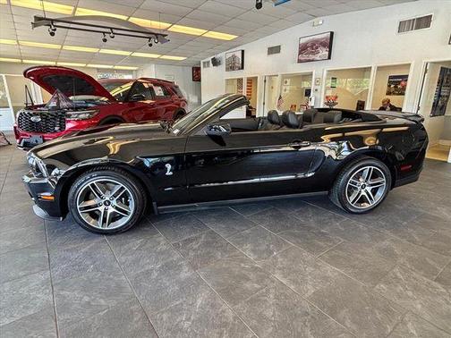 Black 2010 Ford Shelby GT500 Base