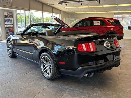 Black 2010 Ford Shelby GT500 Base