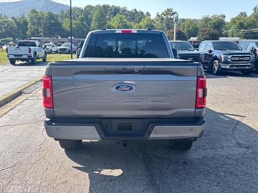 Gray 2023 Ford F-150
