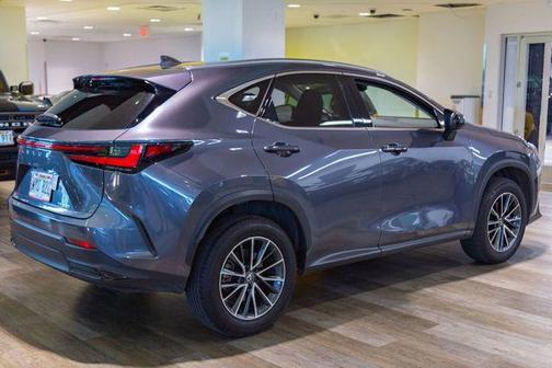 Cloudburst Gray 2024 Lexus NX 250 Premium