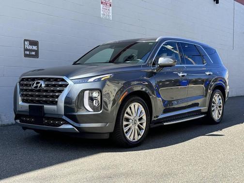 Rainforest 2020 Hyundai PALISADE Limited
