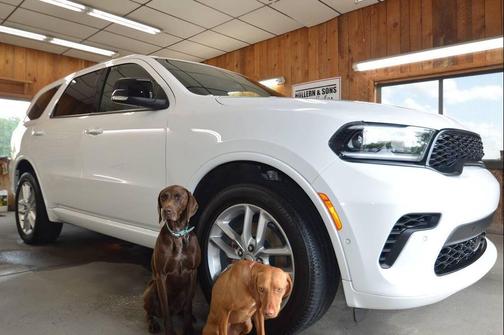 White Knuckle Clear Coat 2025 Dodge Durango GT Plus