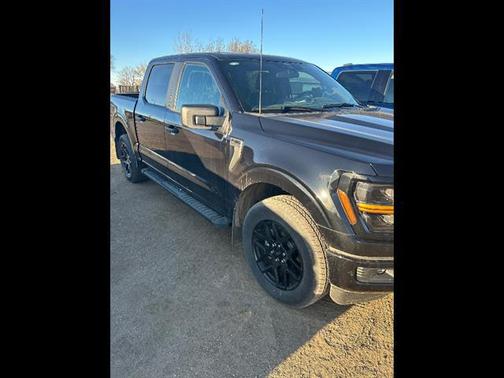 Agate Black Metallic 2024 Ford F-150 STX