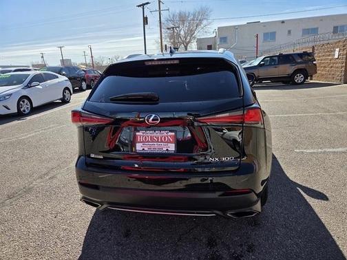 2021 Lexus NX 300 F Sport