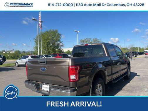 Caribou Metallic 2015 Ford F-150 XLT